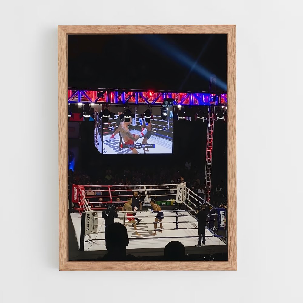 Poster Wbc muaythai – affiche Muay Thai (vue 4)